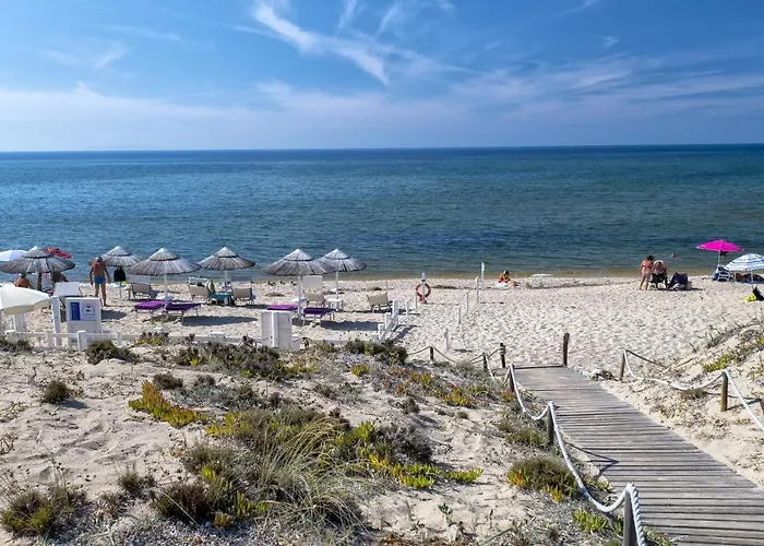 Baia Delle Mimose Vista Mare *